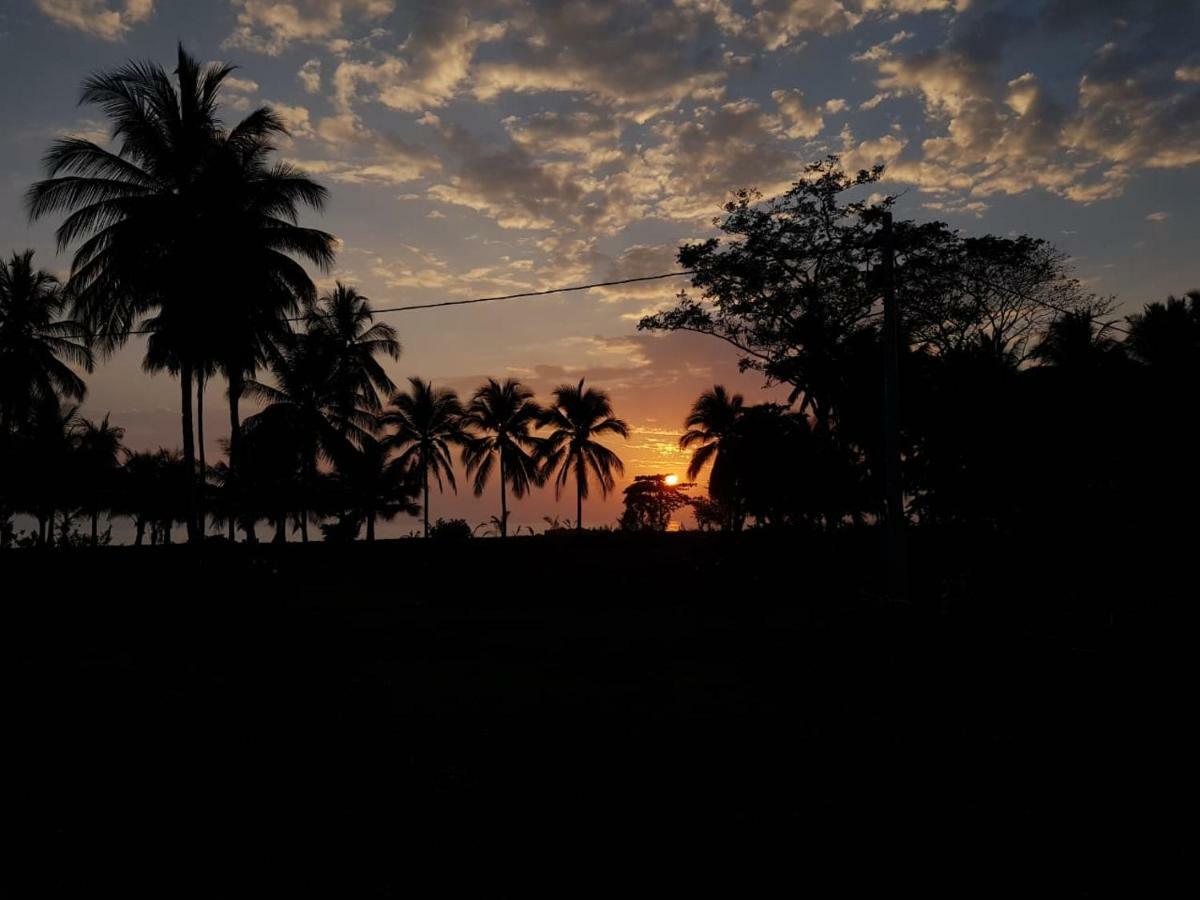 Coco Loco Lodge Эль-Валье Экстерьер фото